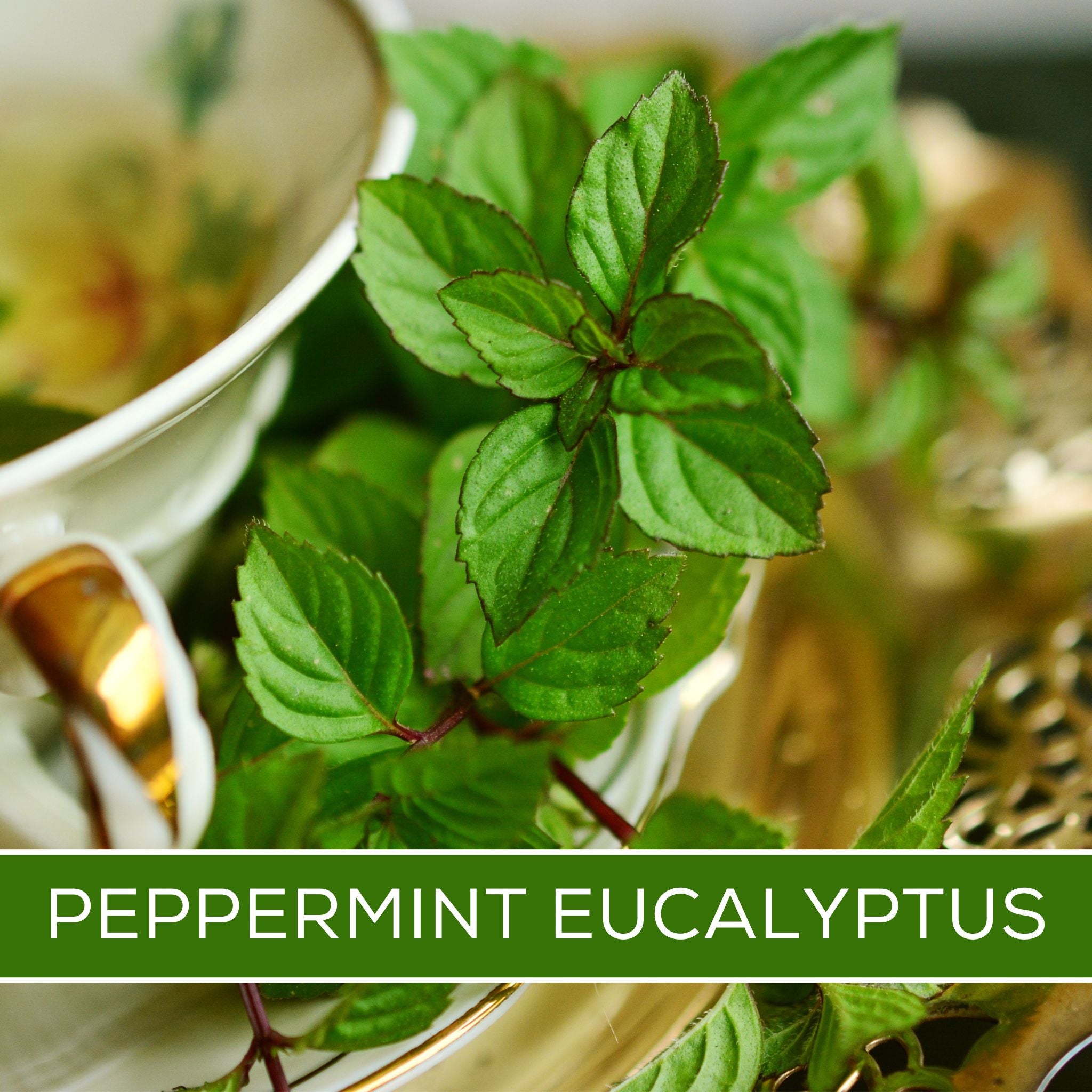 Peppermint Eucalyptus Wax Melt